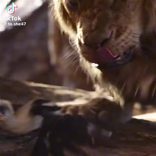 malyal (@malyal_lyrics)’s videos with original sound - malyal