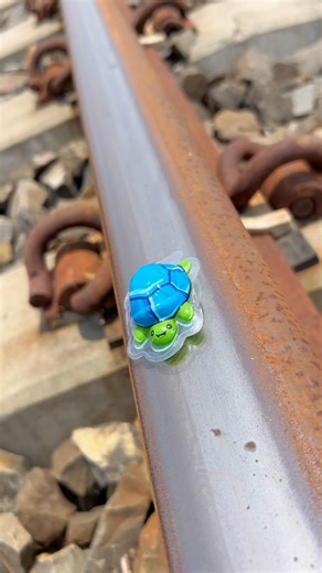 Train vs turtle 🐢 what happened next..?