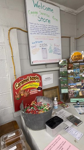 The Farm Store is stocked for the holiday week! 🦃 Stop in and check it out! We’re fully self-serve, so feel free to browse the growing variety of local goods crafted by some truly amazing people. 🥧We’re also still accepting pre-orders for holiday baked goods made by the local Amish bakers at Hidden View Bakery. Fill out our Google form, and your order will be ready for pickup this Tuesday right here at the farm store! https://forms.gle/U3rcTubZp5PEY43GA 📍 9737 RT 96, Trumansburg, NY | Cayuga 