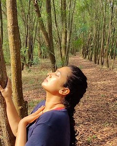 Sun bathing n sun gazing EARLY in the morning just for 5 to 10 minutes, has a lot of health benefits. The sun's UV rays help your body make this nutrient, which is important for your bones, blood cells, and immune system. Early morning sun rays can be a natural sanitizer too. Try to spend time with plants and trees more. Plant as many as you can. REMEMBER : WHEREVER YOUR ATTENTION GOES, ENERGY FLOWS. THINGS GROWS. 😊🙏 #spreadlove #sharegoodthoughts #throwback #stayfitstayhealthy #immunitybooste