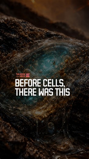 Before cells, there was this - What was the birthplace of life on Earth? Could it have started in a sticky, primordial goo? Discover the mystery of how life might have first emerged, before cells even existed. | The Brain Maze