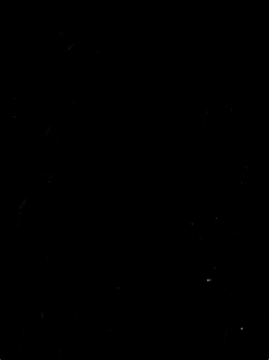 Rapapa Parapa Rapa: Discover the Lyrics and More