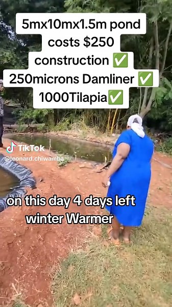 Aquaculture Farming: Tilapia Insights from Zimbabwe