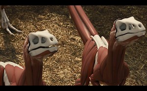 侏罗纪世界 VFX 特效解析 Image Engine