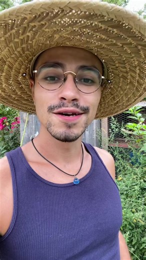 Identifying and Distinguishing Chickens on the Homestead