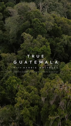 Explore the Ancient Maya Civilization in Episode 4