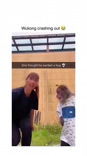 Mindgrasp Ai - the only tool you need on Instagram: "I thought that was Taylor Swift 😭"
