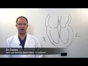 ASD and VSD - In A Nutshell