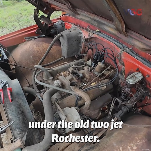 1.4M views · 38K reactions | This Chevrolet C10 has been parked and forgotten about for 28 years on a sidehill in Tennessee. Tree's had grown up around it. It was bought, cut out, and moved to a better location to see if it will once again roar to life, run, drive, and stop! WIll it road trip 3 hours? Watch and find out! #VGG #roadworthyrescues #vicegripgarage | Vice Grip Garage | Facebook