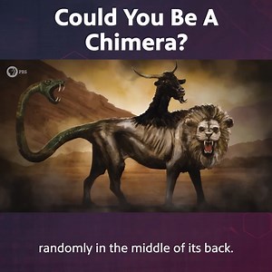 Could You Be a Chimera? | Be Smart