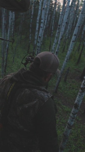 Down the pipe @respectthegametv #bearhunting #blackbear #slicktrickbroadheads | SLICK TRICK Broadheads