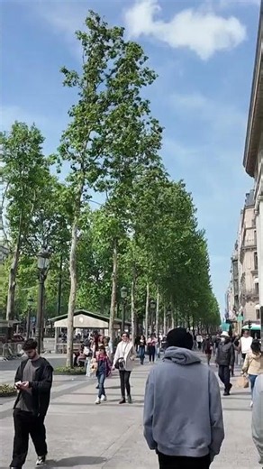 “海外vlog”🇫🇷これが本当のシャンゼリゼ通り✨ #海外vlog #travel #Paris
