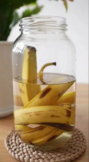 Bananenschalen-Wasser: Mein natürlicher Pflanzendünger für November! 🍌🌿