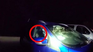 Bär im Auto hupt um Hilfe – Besitzer befreit ihn schließlich per Fernsteuerung