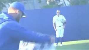 Pelican problem delays college baseball game in California