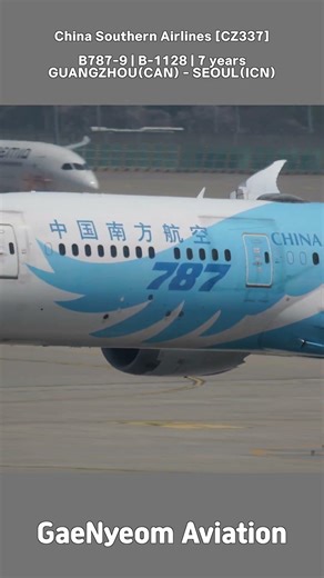 남방항공 B787 인천공항 착륙 ✈️ China Southern Airlines Boeing 787 Landing at Incheon Airport #shorts