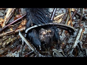 Trapping Alaska - 24/25 Season