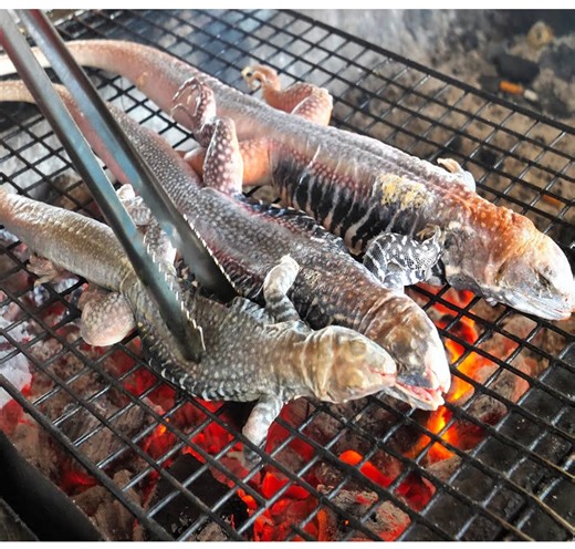 1.2M views · 10K reactions | Cooking tasty whole lizard recipe | Hoot Food | Facebook