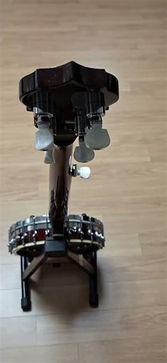 banjo#5-string banjo #guitar# #banjo