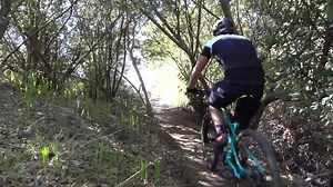 36K views · 558 reactions | The Sprint is here! Introducing...