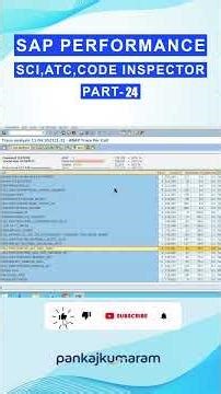 24 SAP PERFORMANCE SCI, ATC, CODE INSPECTOR