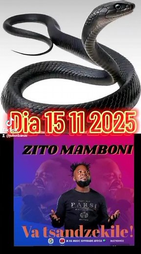 Zito mamboni VA TSANDZEKILE