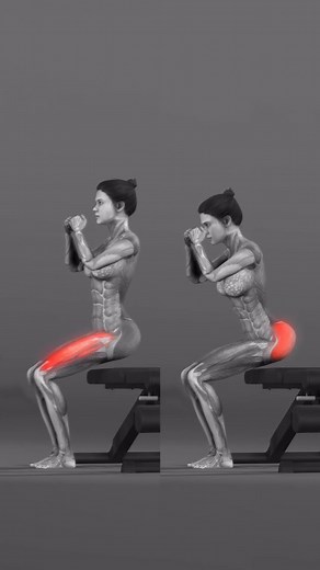 Fitonomy App Community🌱 on Instagram: "🍑 GLUTES VS QUADS GLUTES: - Stand with feet shoulder-width apart. - Drive through your heels. - Lean slightly forward. QUADS: - Feet hip-width apart. - Maintain a straight posture. Following these tips and perfecting your technique can make the box squat a powerful variation for building strength and muscle. 👀 Save and share if you found it helpful! ✅ #glutes #quads #boxsquat #strengthtraining #musclebuilding #fitnessgoals #workoutti