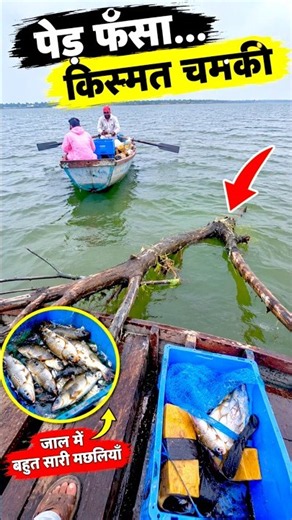पेड़ फ़सा किस्मत चमकी #fishing #fishingvlog #fish