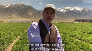 3.4K views · 98 reactions | Yearning to find out more about our Young...