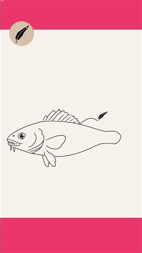 How to Draw a COD FISH! 🐟🌊 Easy Step by Step Fish Drawing for Kids! #lidoartworks