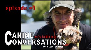 5.3K views · 276 reactions | I'm proud to announce my new podcast...