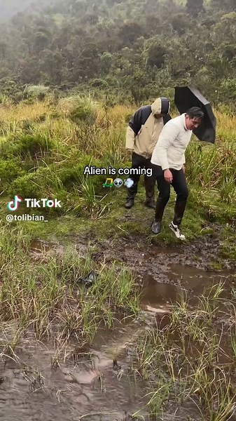 Tolibian on TikTok