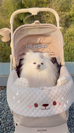 펫테나(PETTENA) MILOU 유모차 👉카시트+하우스+유모차를 하나로! #PETTENA #펫테나 #강아지유모차 #반려동물생활 #개모차 #강아지 #반려견