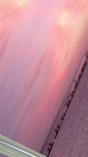 littleopendiary (@littleopendiary)’s videos with original sound - littleopendiary