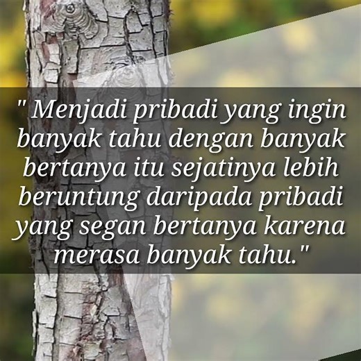Lebih Baik Banyak Bertanya Daripada Merasa Paling Tahu. #motivasiislami #quotes #selfreminder