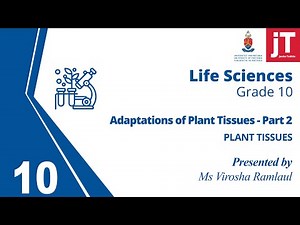 8. Gr10 Life Science - Plant Tissues - Adaptation of Plant Tissues Part 2