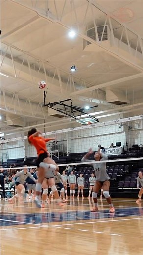 Indiana Tech Slide Attack 💥 | Women’s Volleyball Highlight