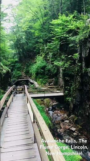 Hiking by Avalanche Falls, Lincoln, New Hampshire! Aug 17, 2017