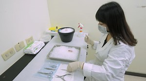 Dorsal Root Ganglia Isolation and Primary Culture to Study Neurotransmitter Release