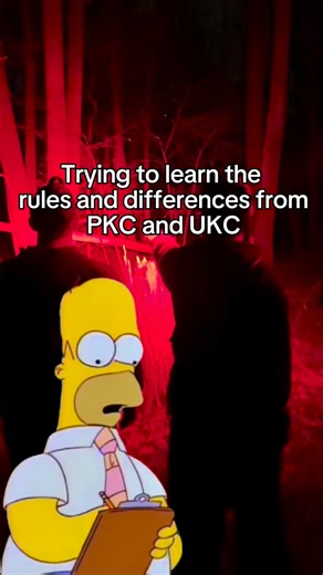 Going from PKC to UKC back to PKC can really mess with the brain😂 #fypシ゚viralシfypシ゚ #ratcitykennels #DogTrainingJourney #huntingdog #treeingwalker #hunting #walker #hounddog #coonhunting #pkc #ukc #racoonhunting | Rat City Outdoors