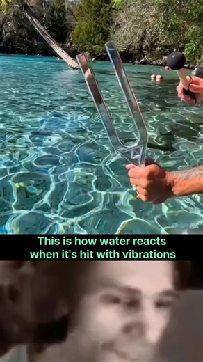Fluid Dynamics: Tuning Fork Experiment #shorts #ytshorts #viralvideos #physics #science
