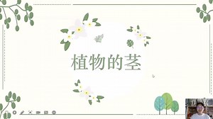 第四讲 《植物的茎》