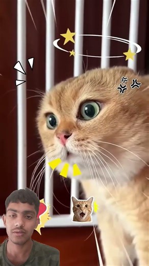 🔥🔥Transform Your Home with These Cool Tools! 🔧 #shorts​ #gadgets​" 116