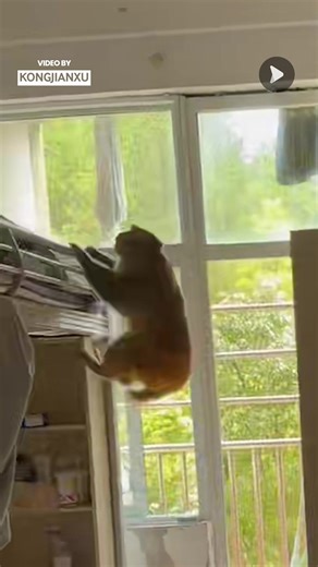 Caught Red Handed😂 | Awesome Videos