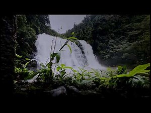 Beauty of the Western Ghats | Where Nature Breathes