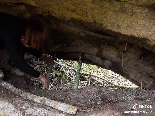 Experience Solo Camping in a Thousand-Year-Old Tree