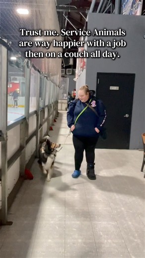 Trust me, these dogs would be miserable & neurotic without a job. #happy #servicedogs #viral #shorts