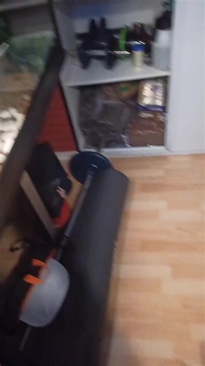 #python #pythons #snake #serpent #apprendre #reptile @.🦟 ma soeur a aussi des pythons si sa vous intéresse😉