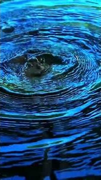 Why Puddles Create Perfect Rings (Physics of Water)