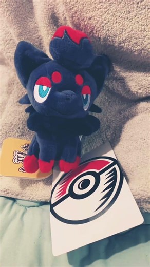 Pokemon_寶可夢娃娃不見了系列 Doll Collection